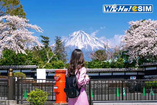 日本自由行新手必看 日本自由行新手必讀 2025日本自由行必讀 日本自由行必看 2025日本自由行新手必備物品 日本自由行新手必備物品 日本自由行必備物品日本自由行注意事項 日本自由行新手注意式項 日本自由行新手實用小知識 日本自由行實用小知識 自由行新手 日本自由行新手 2025日本自由行 2025日本自由行新手 日本自由行小白 自由行新手 出國必備清單 出國注意事項 出國實用小知識 日本出國旅遊