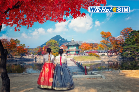 2025韓國旅遊禁忌 韓國文化禮儀 韓國飲食習慣 韓國實用旅遊建議 韓國旅遊禁忌 韓國用餐禁忌 韓國用餐注意事項 韓國吃飯注意事項 吃飯禁忌 韓國旅遊注意事項 韓國出發前必知 韓國旅遊必備程式 韓國韓巢地圖 韓國NaverMap 韓國旅遊禁忌常見問題 韓國旅遊常見問題 韓國禁忌常見問題 韓國旅遊發展局KTO
