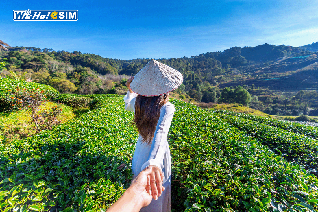 越南旅遊推薦 2025越南旅遊 越南美食伴手禮景點  越南旅遊指南 