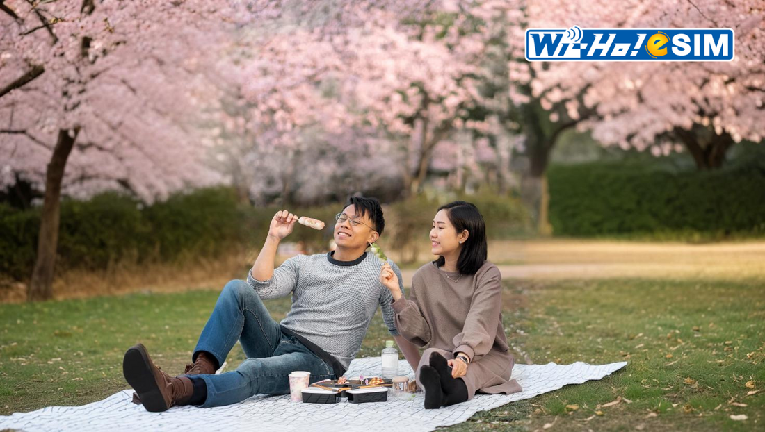 2025日本櫻花季限定甜點飲品 日本櫻花季期間限定 日本春季必嚐甜點飲品 日本星巴克限定飲料 