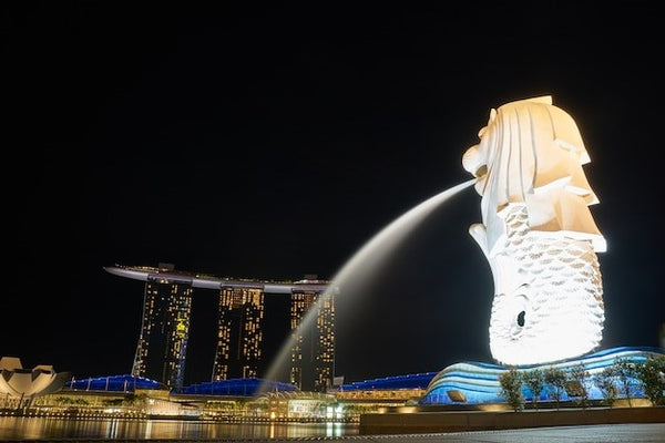 新加坡禁忌 新加坡旅遊文化細節 新加坡旅遊文化 新加坡文化